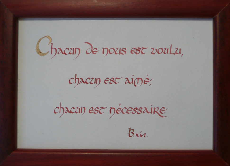 Chacun de nous est voulu, chacun est aimé, chacun est nécessaire. Benoit XVI. Taille 10 × 15 cm.