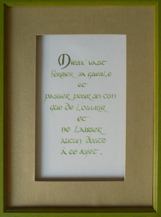 Mieux vaut fermer sa gueule et passer pour un con que de l'ouvrir et ne laisser aucun doute. Taille 15 × 20 cm.