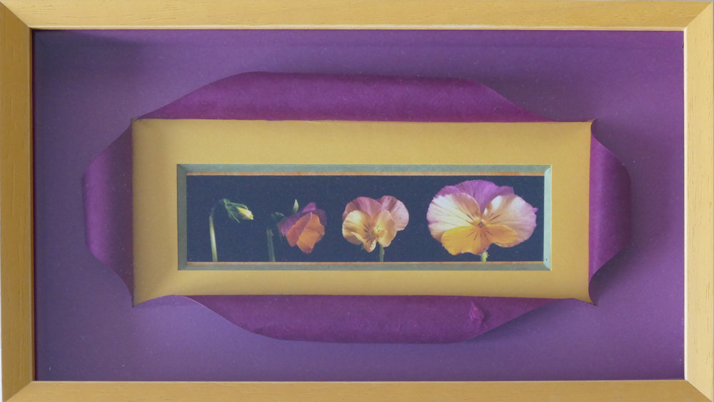Taille : 21,5 × 35,5 cm.
